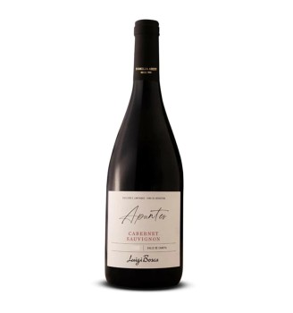 LUIGI BOSCA APUNTES CABERNET SAUVIGNON 750CC