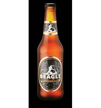 BEAGLE GOLDEN ALE PORRON 330CC