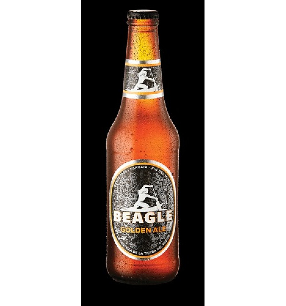 BEAGLE GOLDEN ALE PORRON 330CC