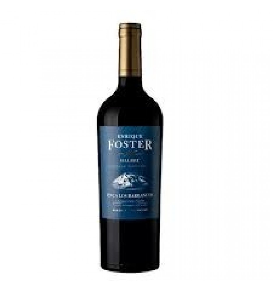 ENRIQUE FOSTER FINCA LOS BARRANCOS MALBEC 750CC
