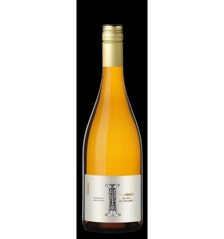 COLOSSO INDOMABLE BLANC DE MALBEC 750ML