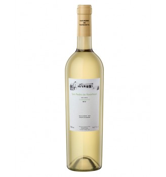 SAN PEDRO DE YACOCHUYA TORRONTÉS 750CC