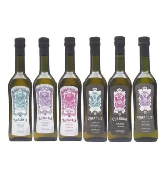 VIGIL CORAGGIO ARBEQUINA ACEITE DE OLIVA VIRGEN EXTRA 500CC